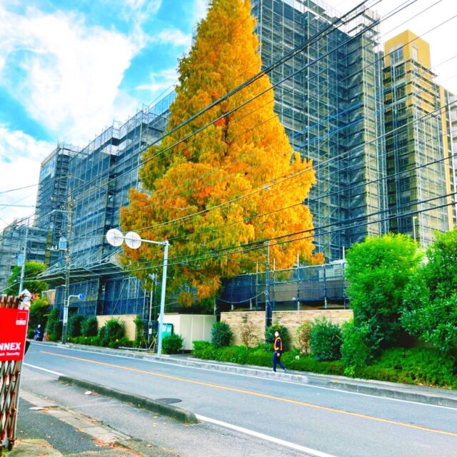 R3年10月 埼玉県さいたま市 集合住宅修繕工事